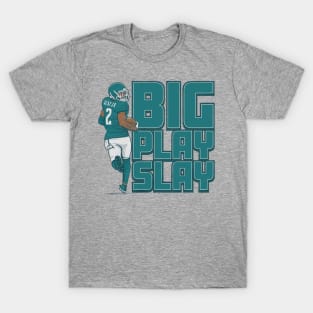 Darius Slay Big Play Slay T-Shirt